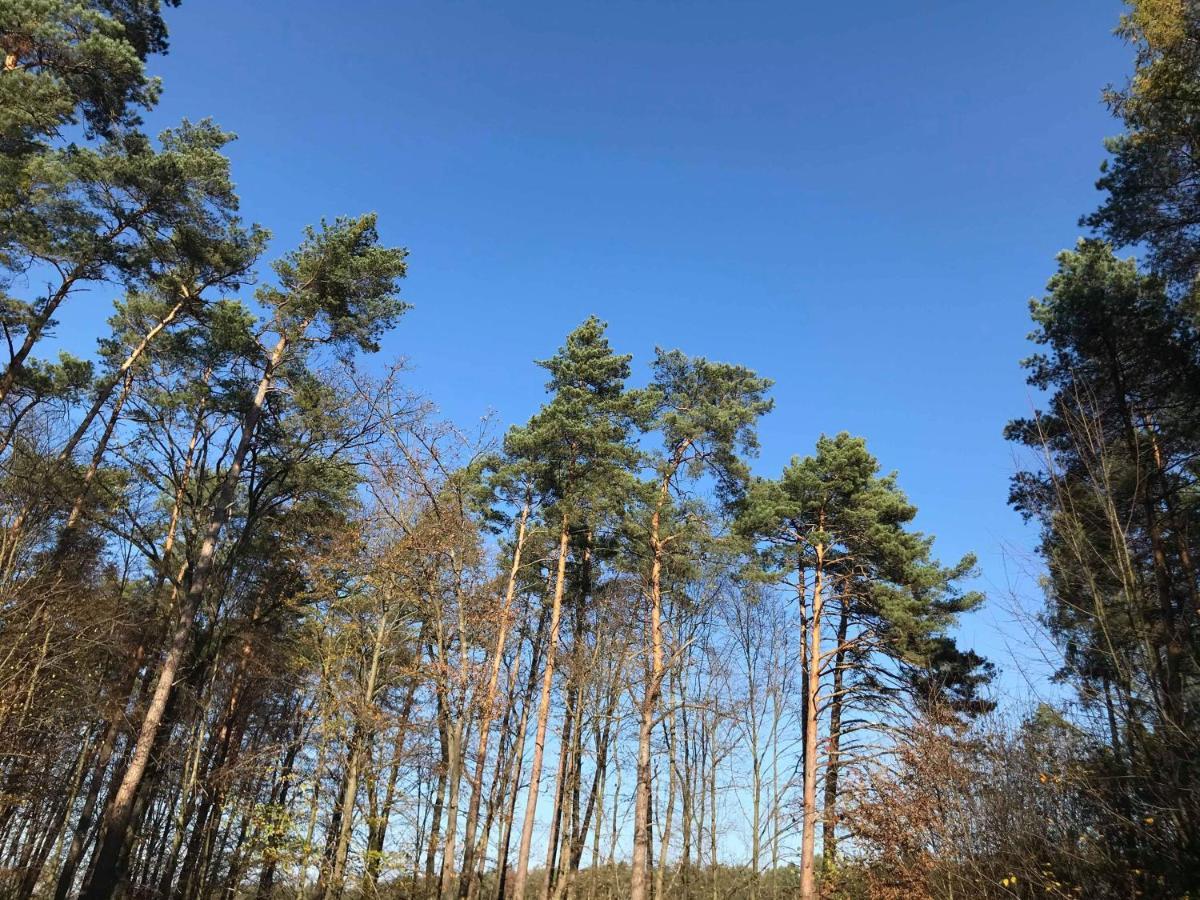 Domki Radawa Na Kliszowce Buitenkant foto