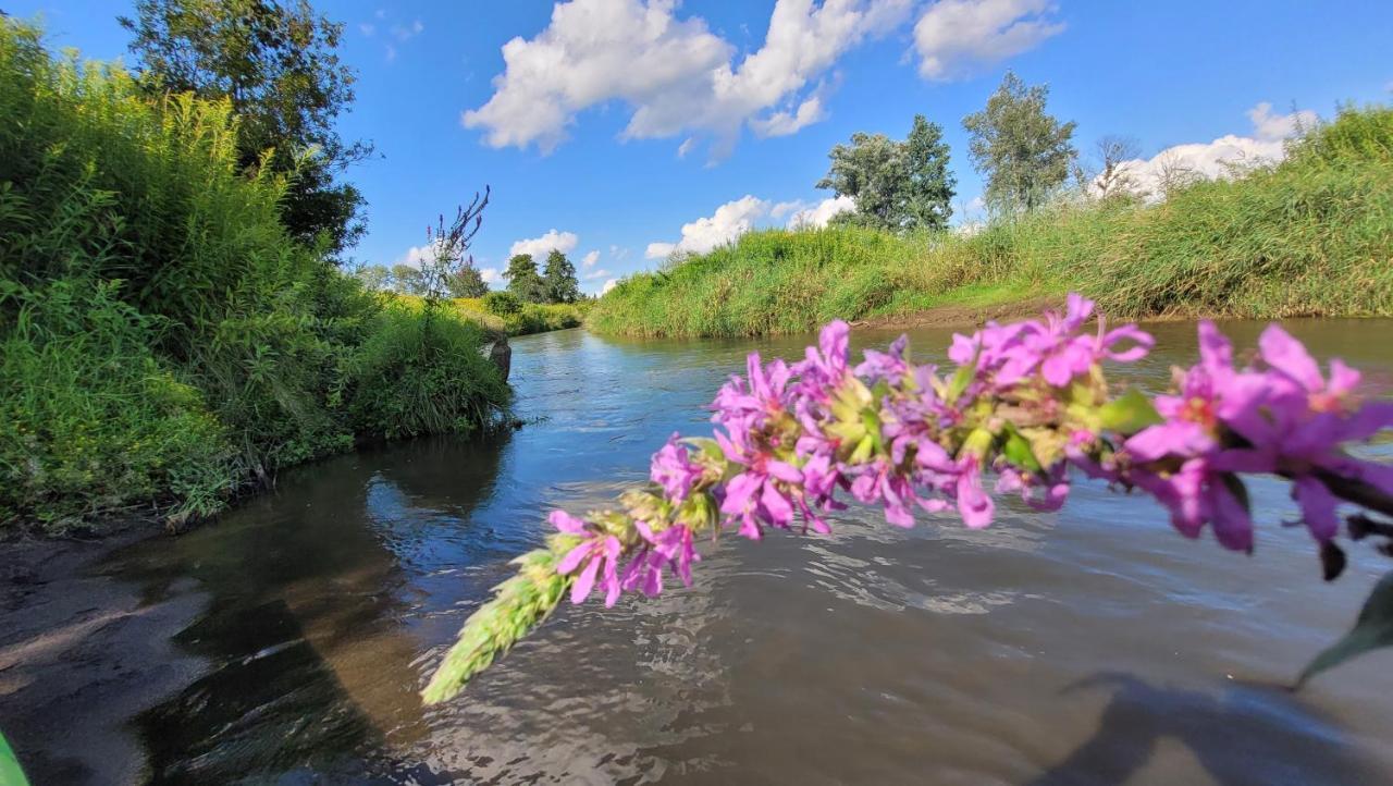 Domki Radawa Na Kliszowce Buitenkant foto