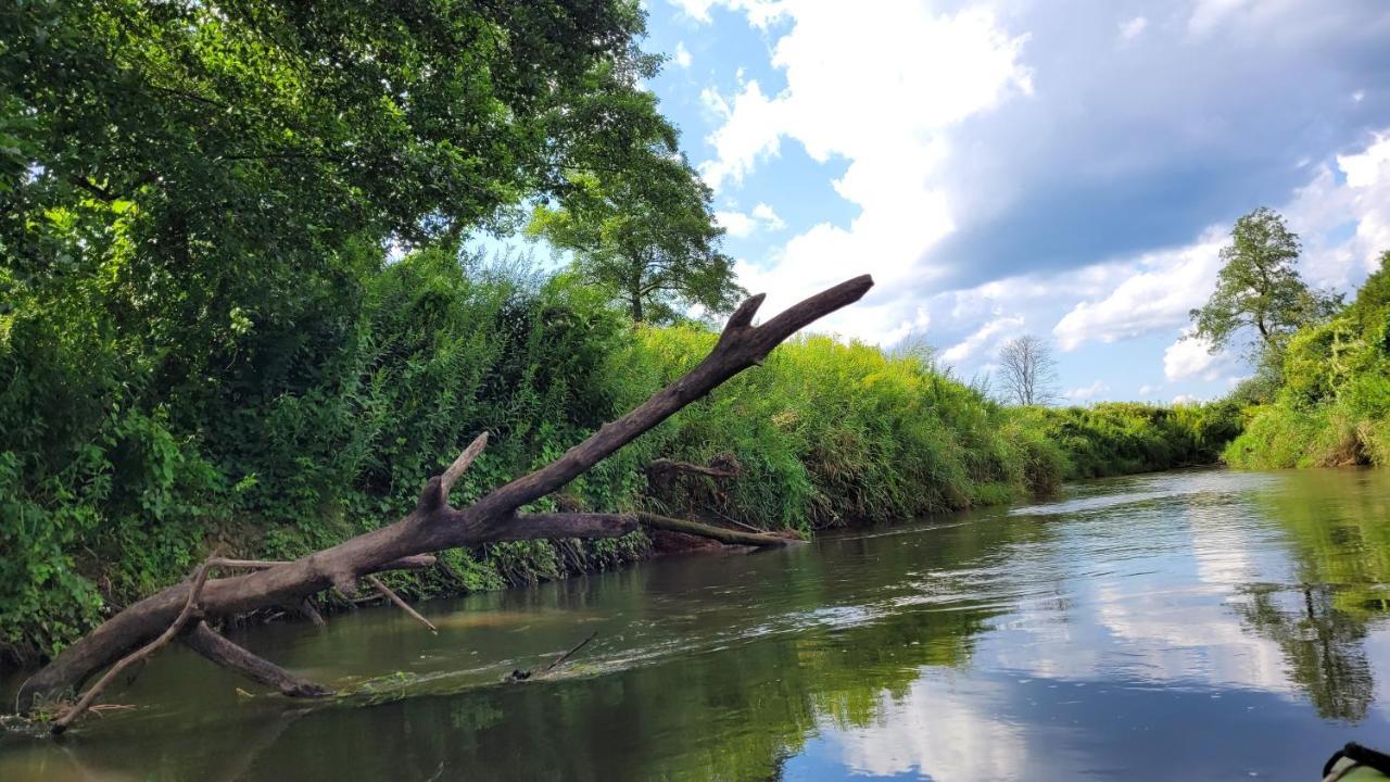 Domki Radawa Na Kliszowce Buitenkant foto
