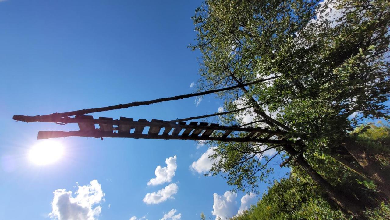 Domki Radawa Na Kliszowce Buitenkant foto