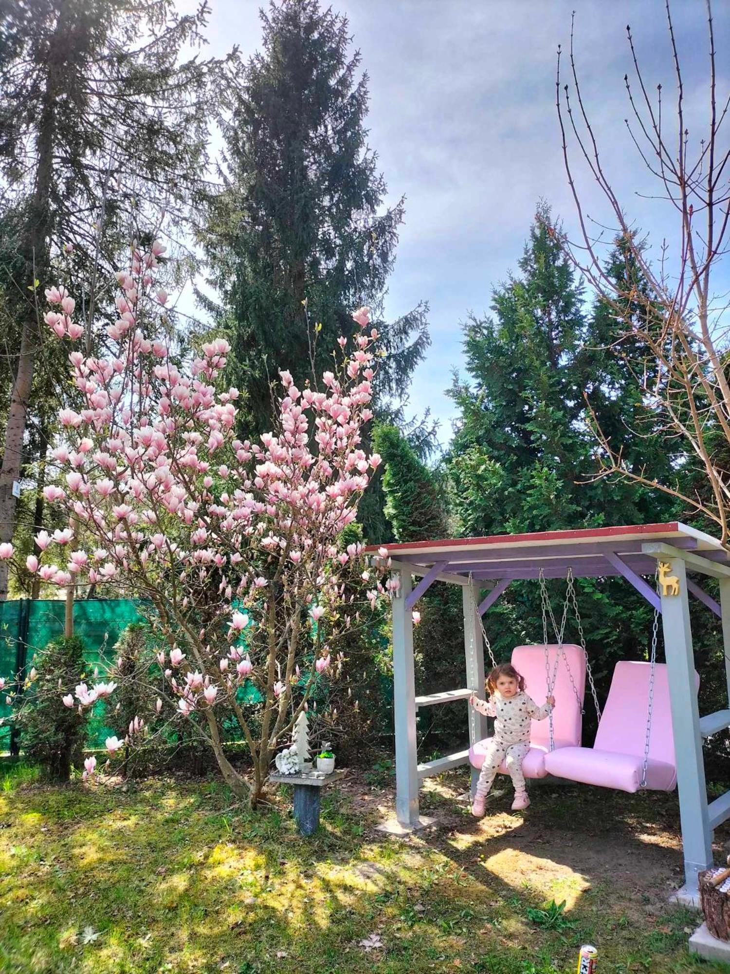 Domki Radawa Na Kliszowce Buitenkant foto